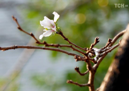  ��������������� ����� ������ ������� ������� ������ 