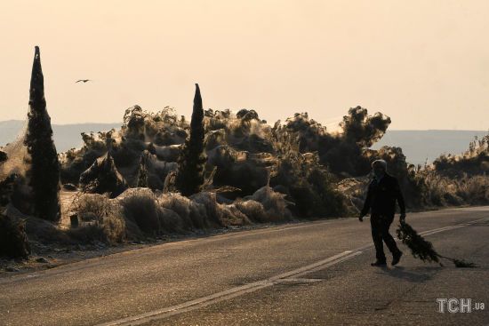  ������ ������ ���������� ����� ������ ��������� ����� ������ 