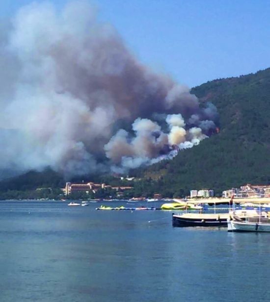  ������ �������� ����� ������ ����������� ������� �������� ������������ 