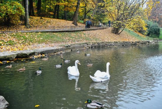  ������� ����� ������ ����� ������ ������� 