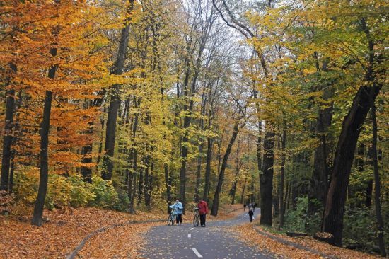  ����� ������������� ��������� ����� ������� ����� 