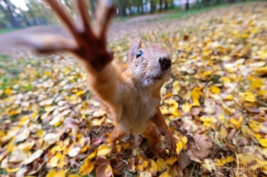  ���� ����� ����� ������� ����������� �������� ������ ��� 