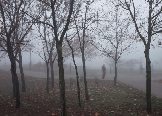  ����� ����� ���� ����������� ������� ����� ������ ����� 