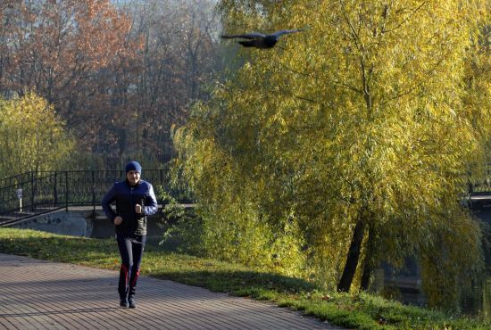  ����� ����������� ������� 