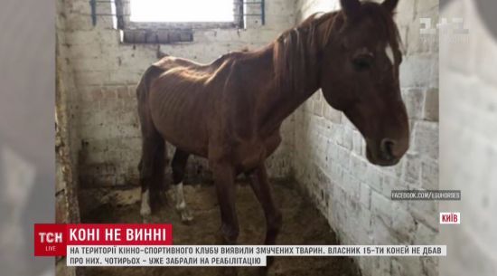  ������� ������ ����� ������� ���� ����� 