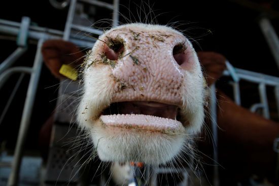 ����: ru.tsn.ua