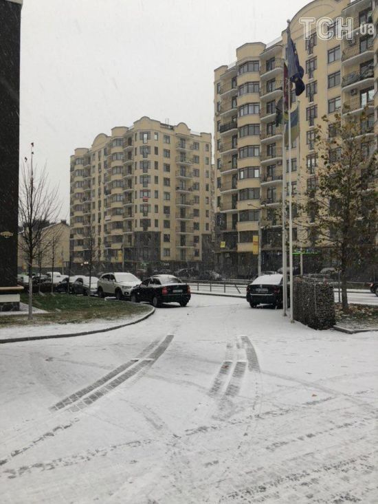  ���� ����� ���� �������� ������ ������ ����� ������� 