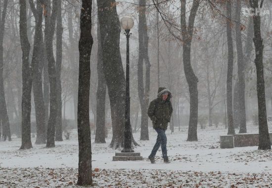  ������ ����� ����� ���� ������ ���� ������� ����������� 