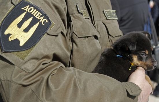 ����: ru.tsn.ua