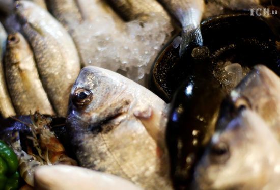  ������ ����� ���� 