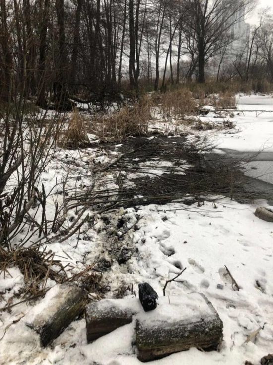  ����� ����������� ��� ������� ������� 