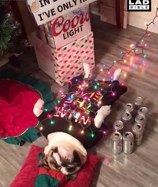 ����: ru.tsn.ua