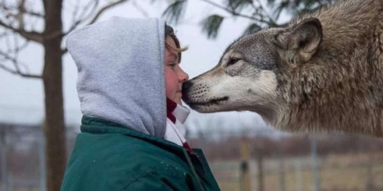 ����: ru.tsn.ua