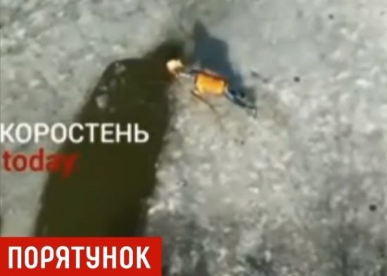  ���� ������ ������ ��������� 