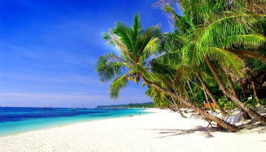  ������� �������� �������� �������� ������ ������� ����� 