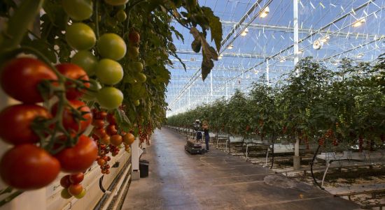 ����: ru.tsn.ua