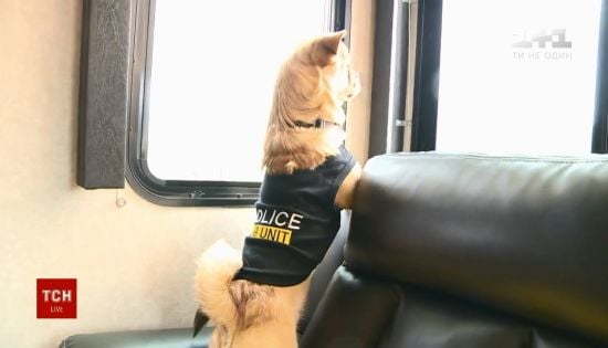  ���������� ������� ������ ����� ������ ������� ������� 