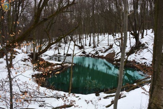  ����� ���� ������� 