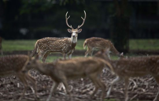  ��� ������ ���������������� �����-������� �������� ���� �������� ����� 