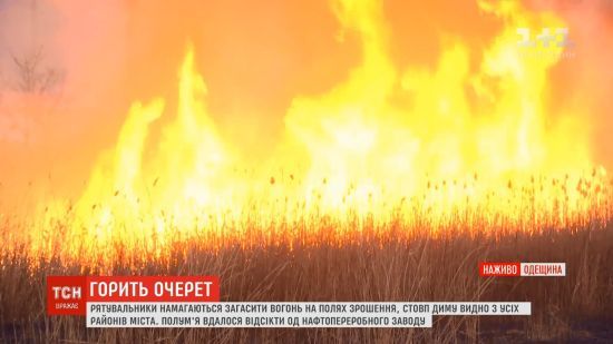  ����� ������ ����� ����� 