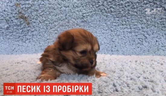  �������� ����������� ������ �������� 