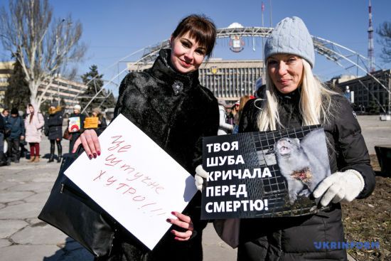  ������� ������ ����������� �������� 