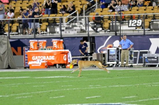  ��� ����� ����������� ����� ��� ���������� ������ ������ 