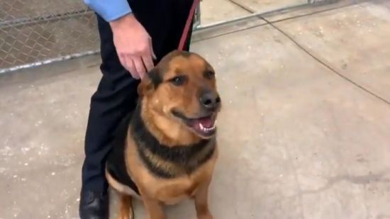  ������� ������� ����� ��������� ����� ���� ������ ������� 