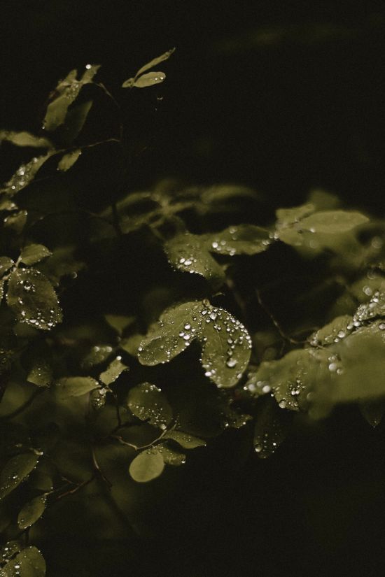  ������ ����� ����������� �������� ������� ������� 