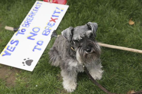  ������������ �������������� ����� 