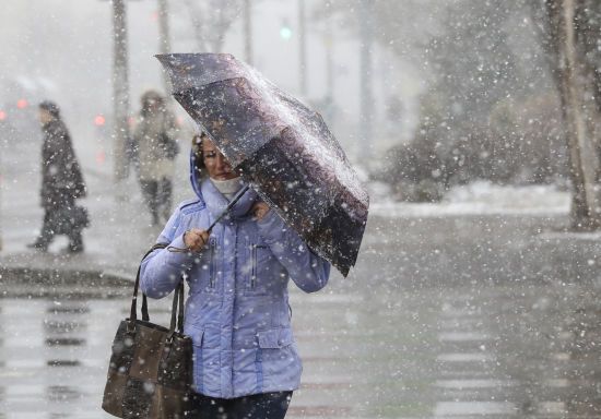  ����� ������� ������ ������ �������� ��������� ����� ���������� 