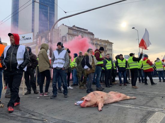  ������� ���� ������ ������ 