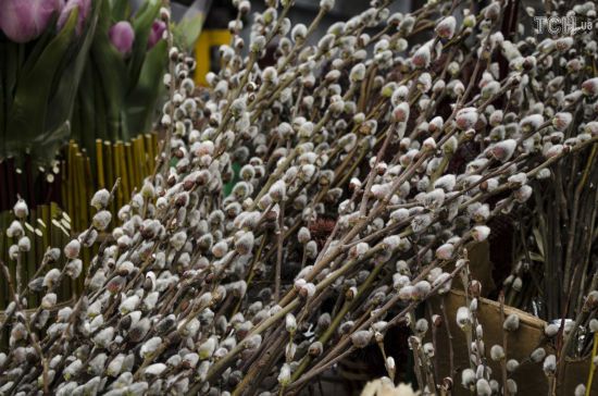  ������ ����� ������� ��������� �������� ����� 