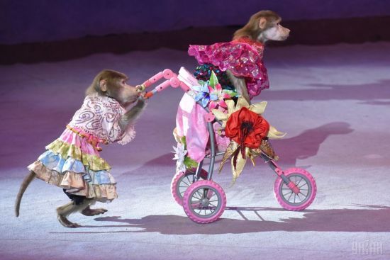  �������� ����������� ������� 