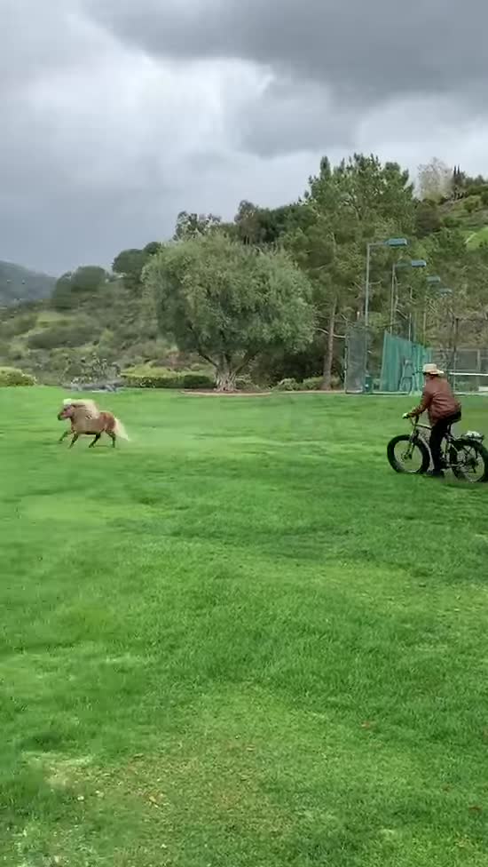  ���� ����� ����� ����� ���������� ����������� 