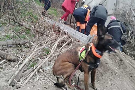  ������ ��� ������� ��������� ������� ����� 