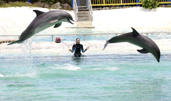 ����: ru.tsn.ua