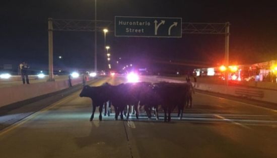  �������� ��������� �������� ������� ������������� ������ 