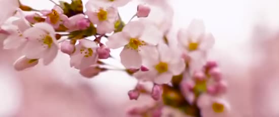  ������� ��������� ��������� ������ 