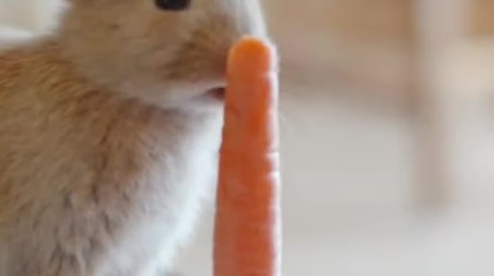 ����: ru.tsn.ua