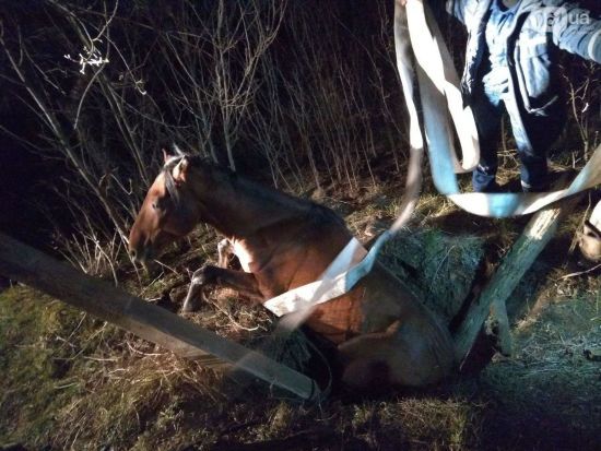  ����������� ��������� �������� ������� ���� 