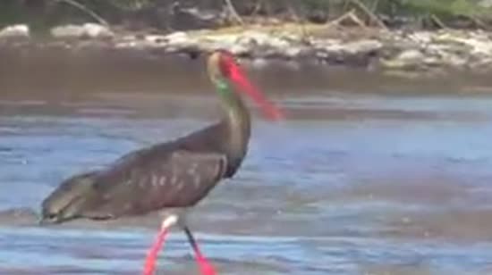  ����������� ����� ����� ������� ������� ����� 