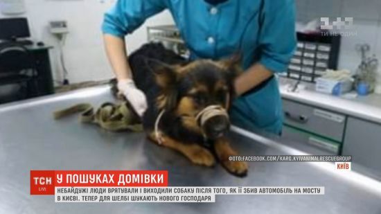  ����� �������� ��� ������ ������ ����� ������ ����� 