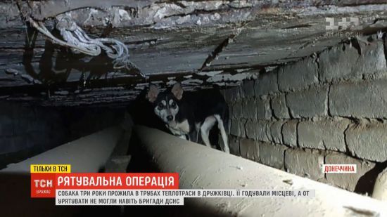  ����������� ������ ������ ����� ������ 