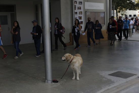  �������� ����� ��������� �������� �������� ������� 