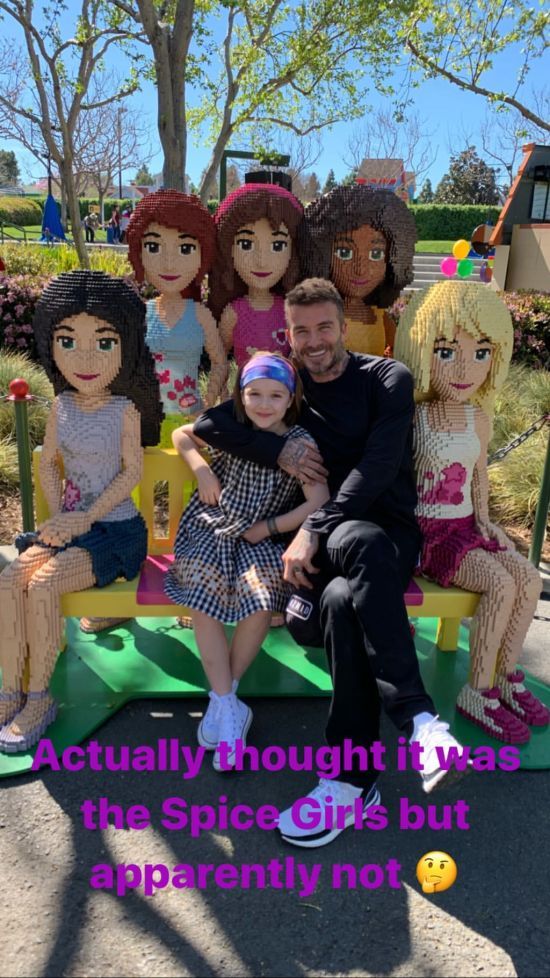  ���� ����� ������ ������ ������ ��������� ���� ������ 