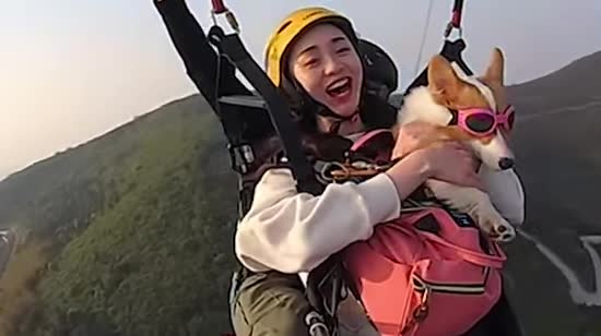  ���������� ����� ������ 