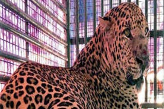  ����� ������� ������� ������ �������� 