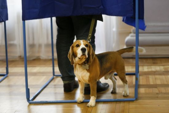 ����: ru.tsn.ua