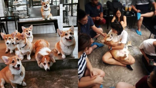  ���� ����� ����� �������� �������� 